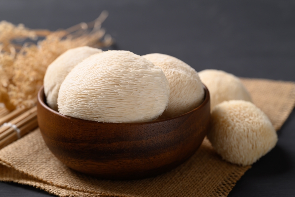 hericium-2.jpg