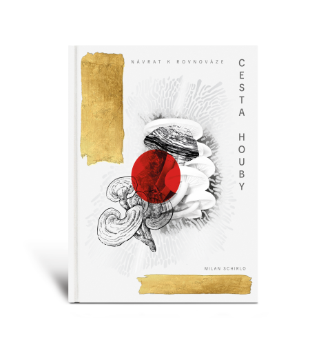 libro.png libro.png