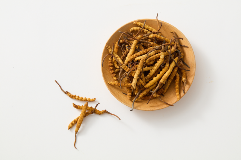 Cordyceps - recarga la energía perdida